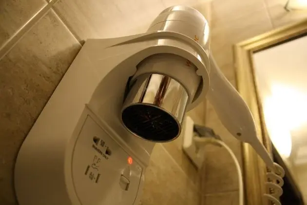 Deluxe Tek Büyük Yataklı Oda, 1 En Büyük (King) Boy Yatak ve Çekyat, Özel Banyo (Air conditioning)