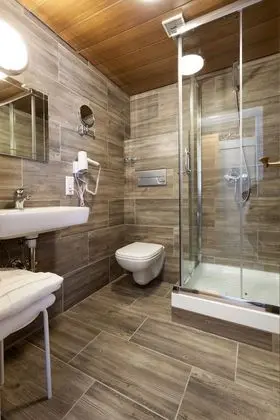 Business Tek Kişilik Oda, Dağ Manzaralı