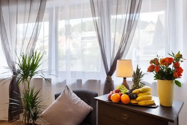 Business Tek Kişilik Oda, Dağ Manzaralı