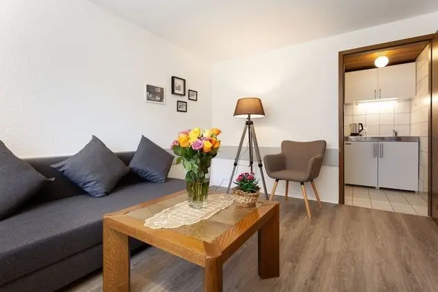 Family Oda, Balkon, Dağ Manzaralı