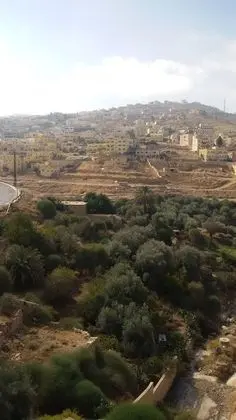 Superior İki Ayrı Yataklı Oda, Şehir Manzaralı