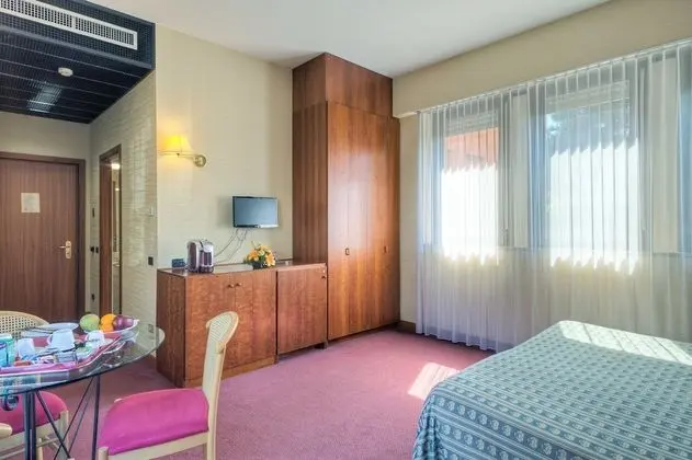 Business Tek Büyük Yataklı Oda, 1 En Büyük (King) Boy Yatak, Bahçe Manzaralı