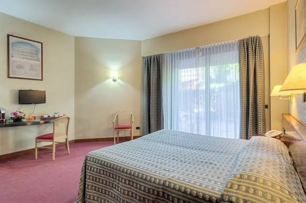 Business Tek Büyük Yataklı Oda, 1 En Büyük (King) Boy Yatak, Bahçe Manzaralı