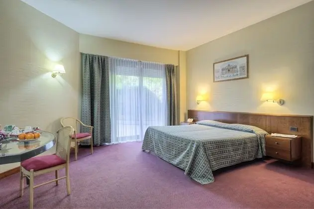 Business Tek Büyük Yataklı Oda, 1 En Büyük (King) Boy Yatak, Bahçe Manzaralı