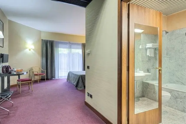 Business Tek Büyük Yataklı Oda, 1 En Büyük (King) Boy Yatak, Bahçe Manzaralı