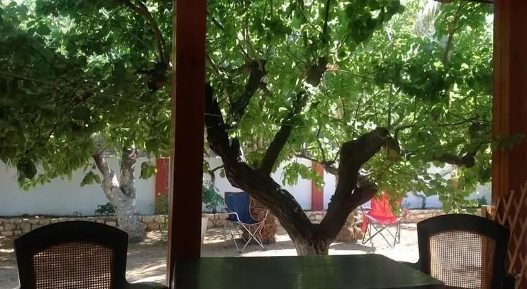 Standard Oda, Bahçe Manzaralı