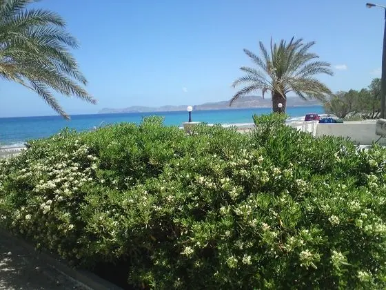 Standard Oda, Deniz Manzaralı