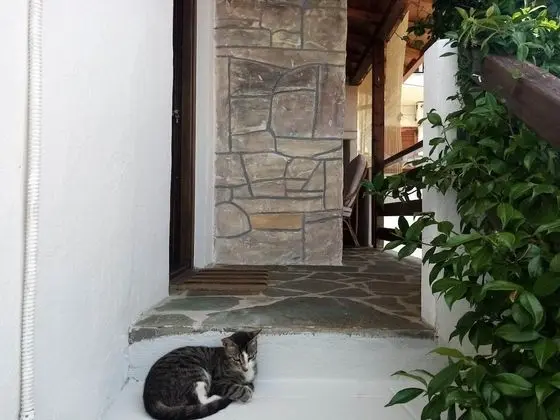 Apart Daire, Birden Çok Yatak