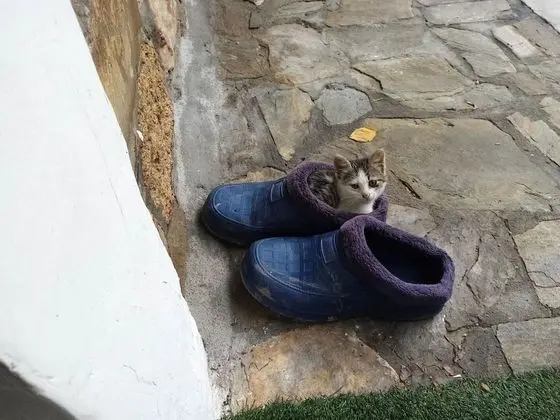 Apart Daire, Birden Çok Yatak