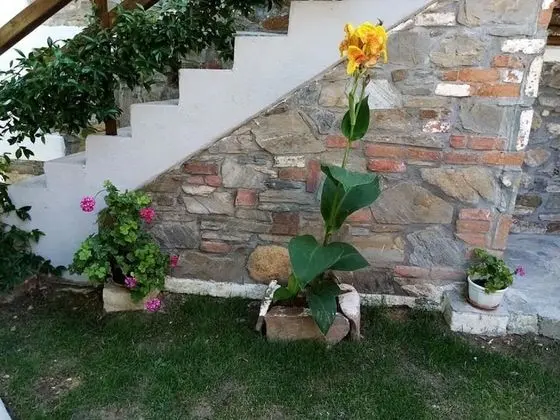 Apart Daire, Birden Çok Yatak