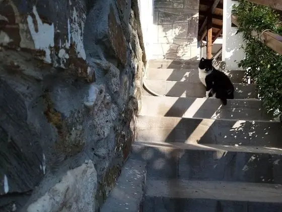 Apart Daire, Birden Çok Yatak