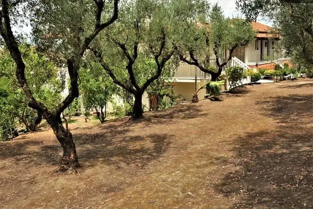 Standard Stüdyo (Grantouka)