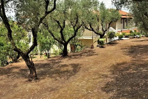 Standard Tek Büyük Yataklı Oda, Deniz Manzaralı (Manousaki)