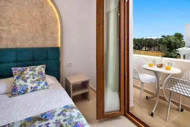 Superior Tek Büyük Yataklı Oda