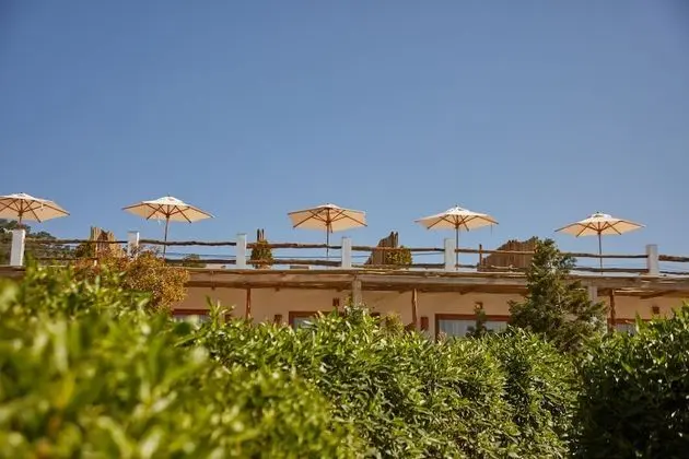 Premium Stüdyo Süit, Okyanus Manzaralı (Bougainvillea)