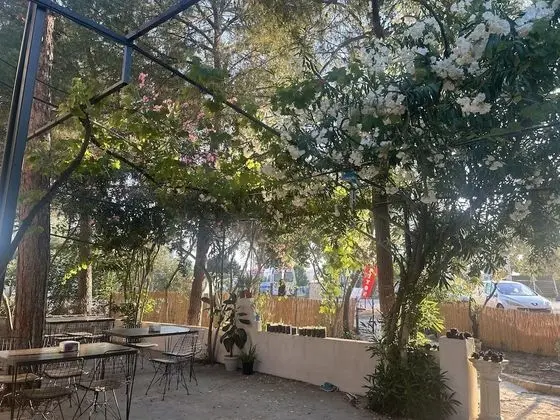 Üç Kişilik Oda