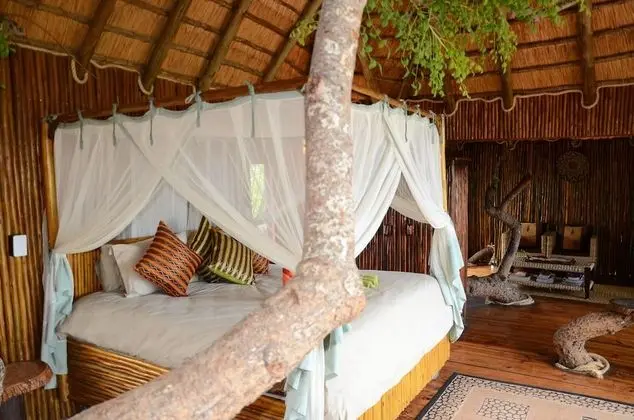 Dream (Luxury Honeymoon TreeHouse)