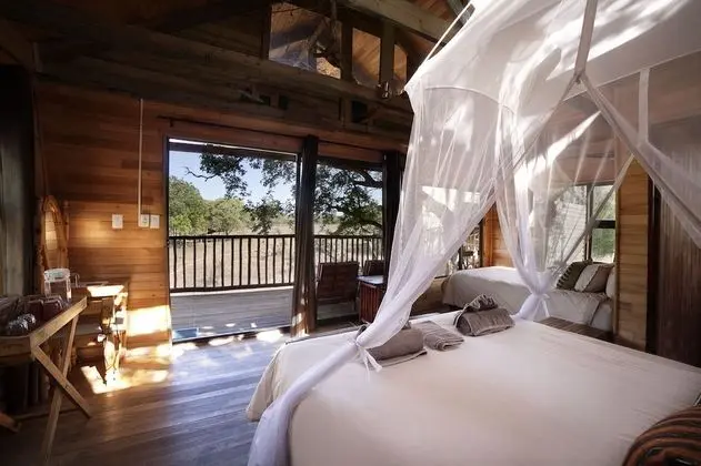 Jackalberry (Standard Tree House)