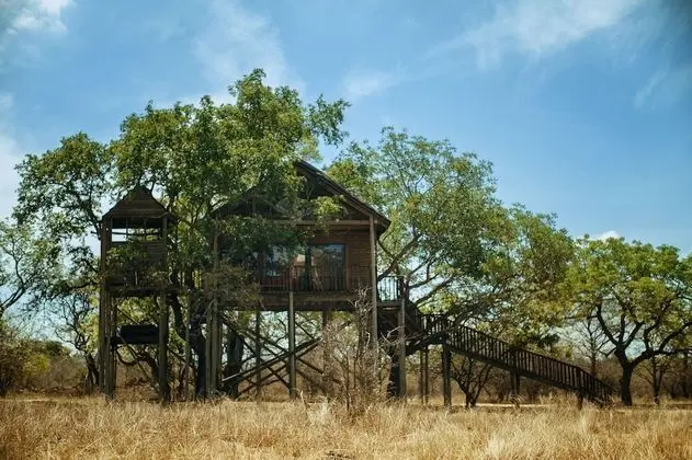 Jackalberry (Standard Tree House)