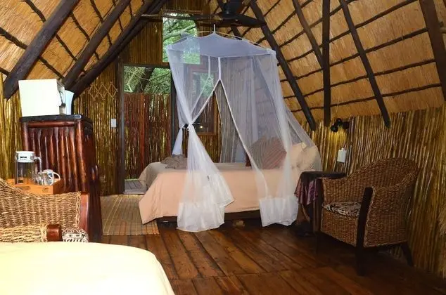 Teak 1 (Standard Tree House)