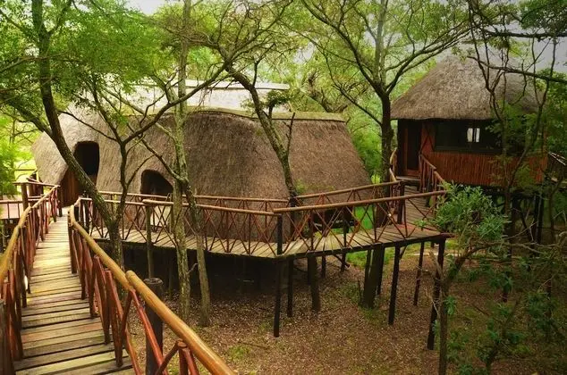 Teak 1 (Standard Tree House)