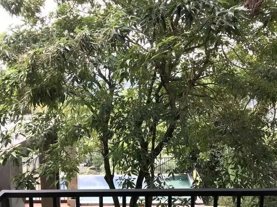 Family Tek Büyük Yataklı Oda