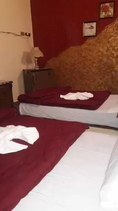 Deluxe Tek Büyük Yataklı Oda, 2 Yatak Odası, Özel Banyo