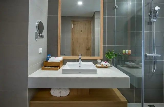 Deluxe Tek Büyük veya İki Ayrı Yataklı Oda