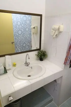 Deluxe Oda, 2 Tek Kişilik Yatak, Küvet, Şehir Manzaralı