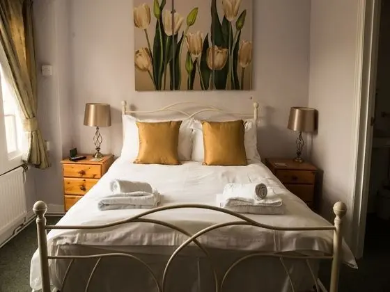 Deluxe Tek Büyük Yataklı Oda, Banyolu/Duşlu (Dog Friendly)
