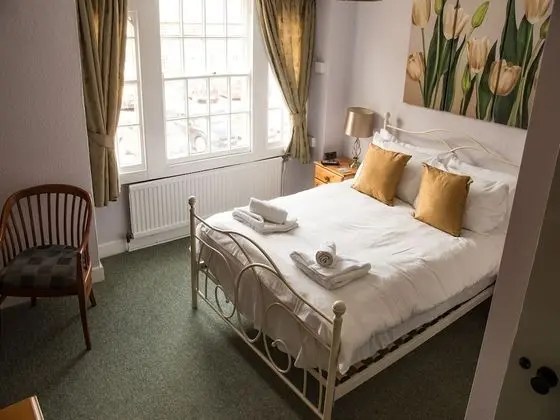 Deluxe Tek Büyük Yataklı Oda, Banyolu/Duşlu (Dog Friendly)