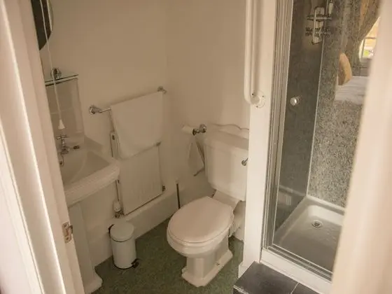 Deluxe Tek Büyük Yataklı Oda, Banyolu/Duşlu (Dog Friendly)