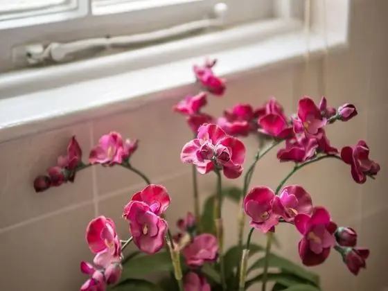 İki Ayrı Yataklı Oda, Özel Banyo