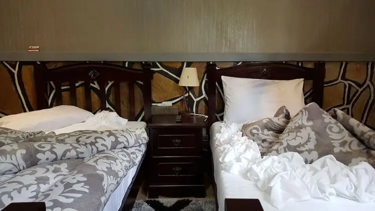 Luxury İki Ayrı Yataklı Oda