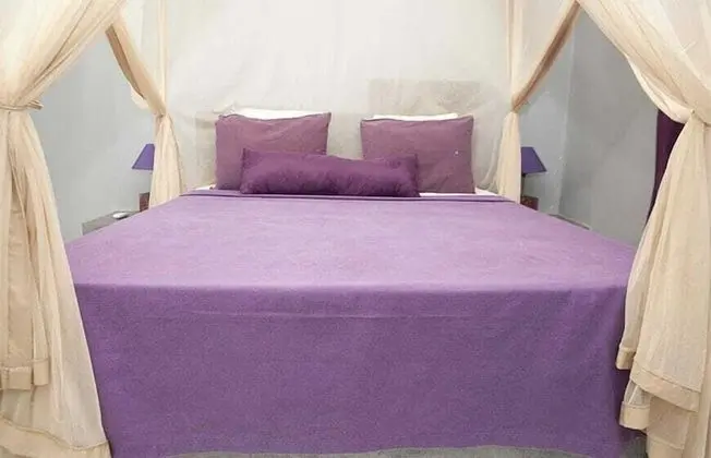 Comfort Apart Daire, 1 Yatak Odası