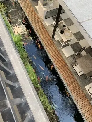 Deluxe Tek Kişilik Oda