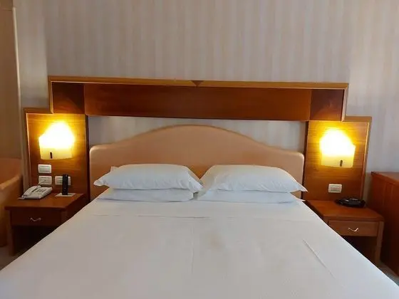 Superior Tek Büyük veya İki Ayrı Yataklı Oda