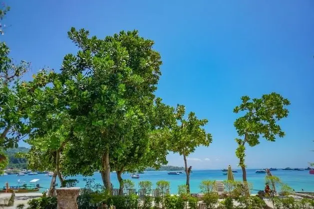Garden Ocean Front
