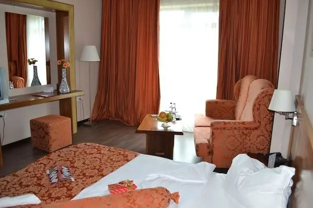 Superior Tek Büyük Yataklı Oda