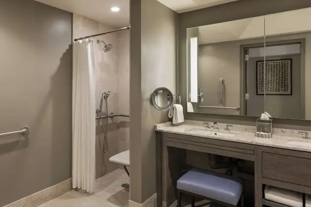 Deluxe Oda, 1 En Büyük (King) Boy Yatak (Mobility Accessible, Roll-In Shower)