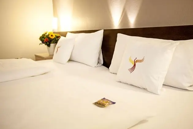 Comfort Tek Büyük Yataklı Oda, Park Manzaralı