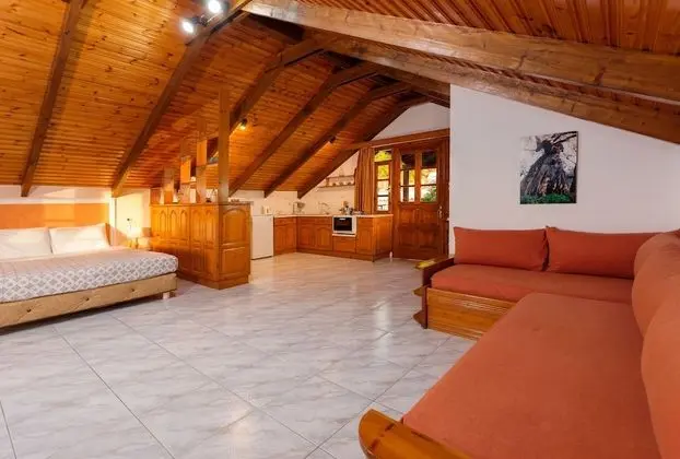 Çatı Katı (Loft)