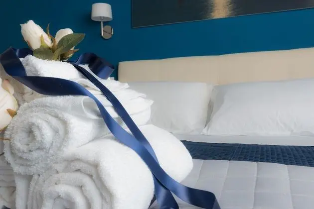 Superior Tek Büyük Yataklı Oda, 1 Büyük (Queen) Boy Yatak, Banyolu/Duşlu