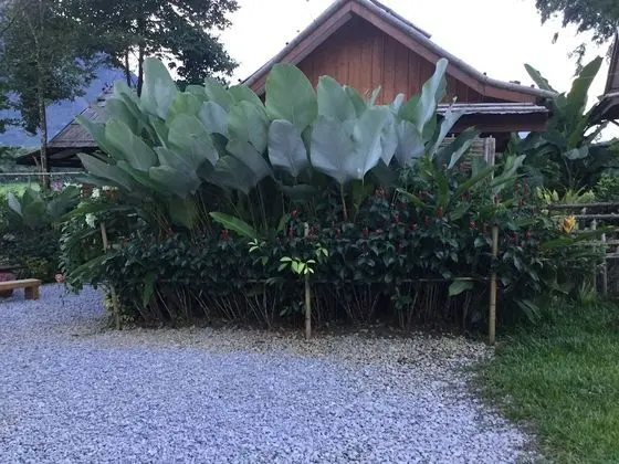 Villa (Mountain & Rice Field)