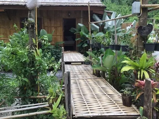 Villa (Mountain & Rice Field)
