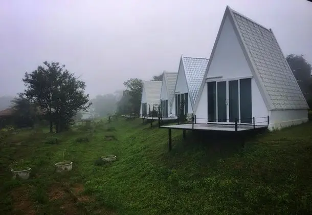 Superior Bungalov