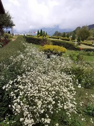 Superior Villa, 1 Çift Kişilik Yatak