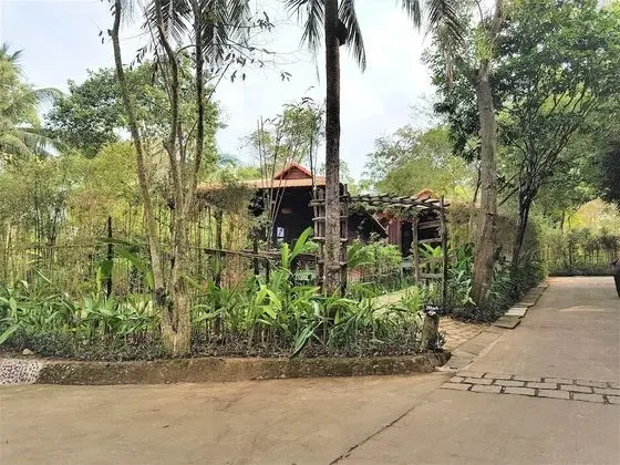 Superior Bungalov, Bahçe Manzaralı