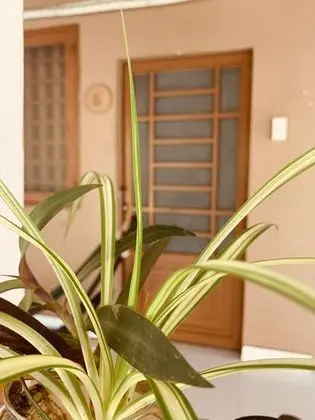 Traditional Dört Kişilik Oda, Bahçe Manzaralı (Air Conditioning)