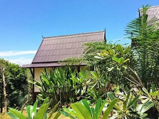 Deluxe Bungalov